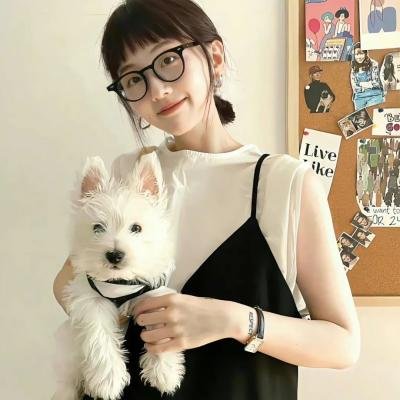 奶牛阴谋