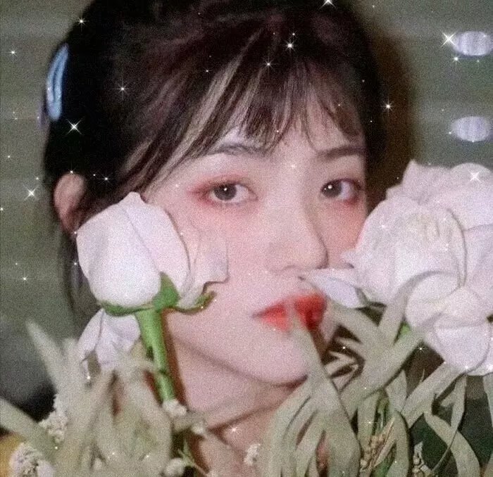 奔驰的大葱